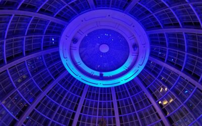 The Role of Reality in Shaping Our Perceptions and Beliefs